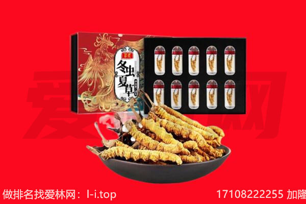 神池县回收虫草.jpg